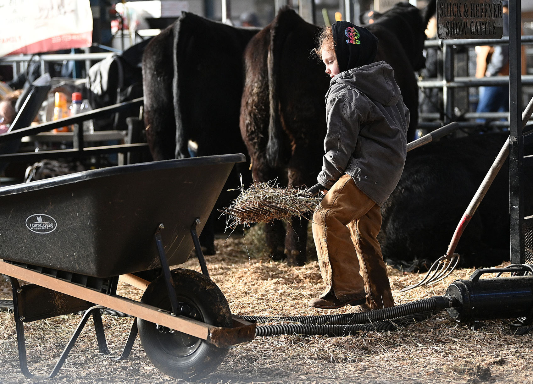 PA Farm Show 11